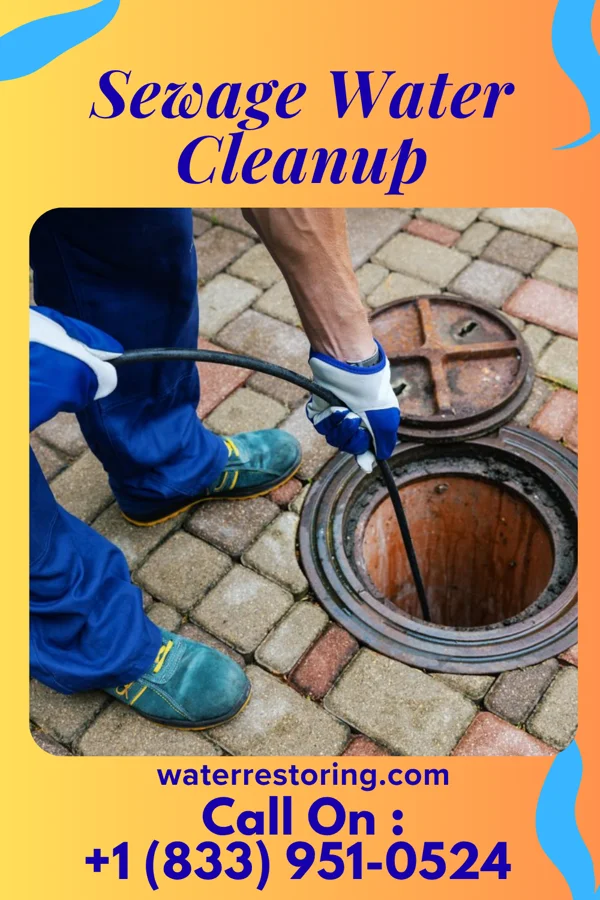 Sewage Water Cleanup in Columbine Valley, CO